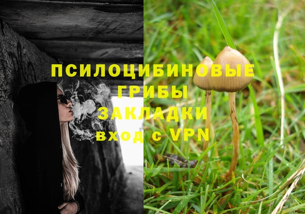соль ск Абдулино