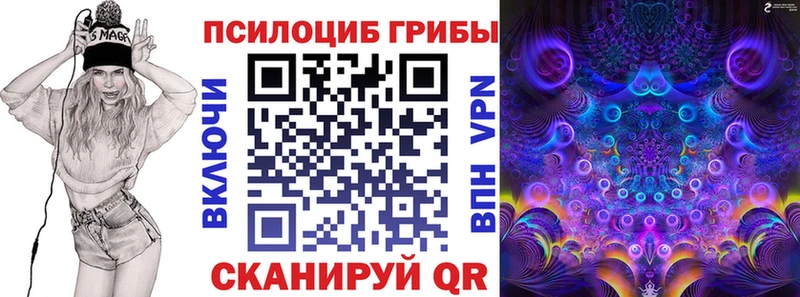 Галлюциногенные грибы мухоморы  купить   Чекалин 